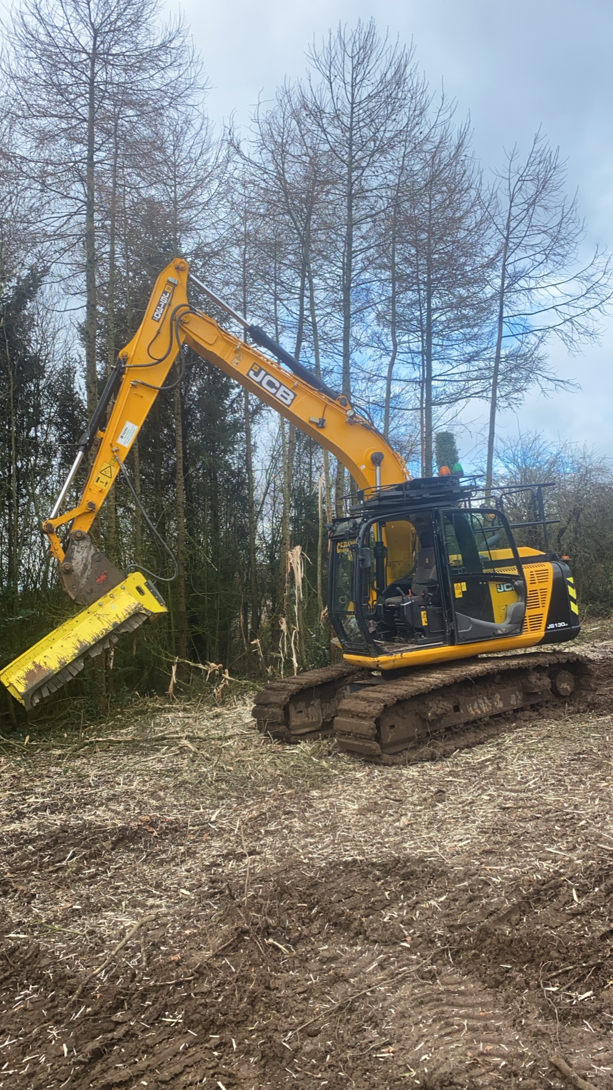 Tree removal project